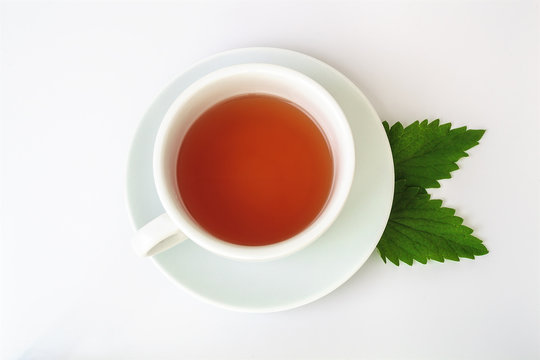 Cup of tea and leaf of mint isolated on white background