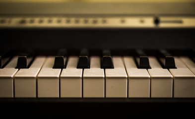 musical instrument, piano keys closeup
