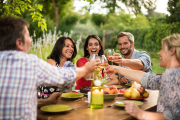 Group of friends toasting during a party on a terrace in summer