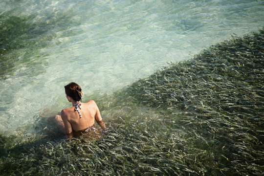 Rear view of woman sitting in seaweed in shallows of clear ocean