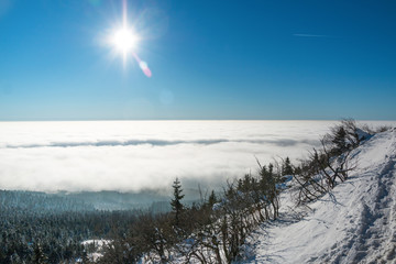 View over clouds in Jested mountain