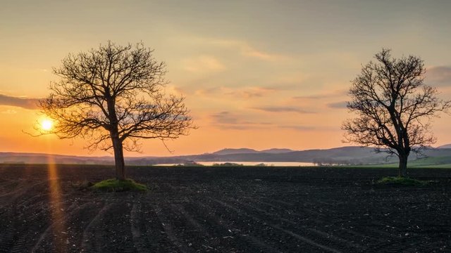 Timelapse sunset in rural landscape with walnut trees