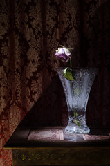 A wilting rose signifies lost love, divorce, or a bad relationship, dead rose in vase on wood case dark background