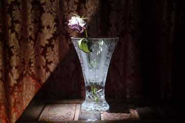 A wilting rose signifies lost love, divorce, or a bad relationship, dead rose in vase on wood case dark background