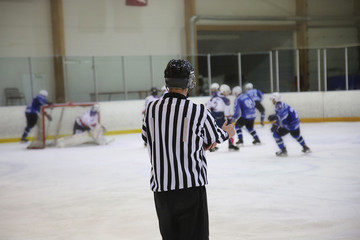 Naklejka premium hockey referee control