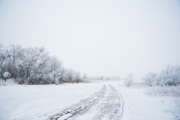 Fototapeta na wymiar Dirt road in the forest in winter