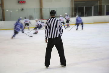 hockey referee control