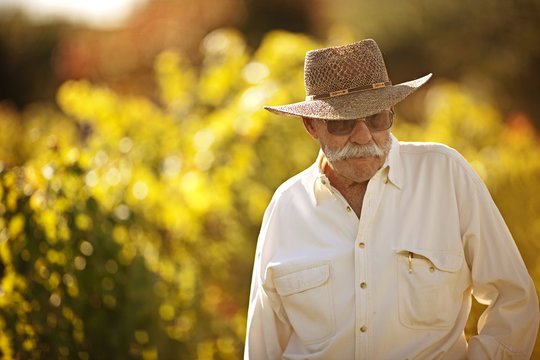 Senior man standing in his vineyard