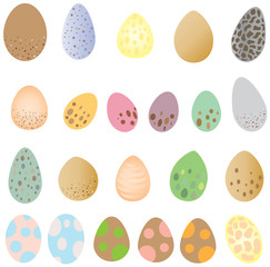 Collection Of Vector Bird Eggs