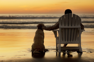 Rear view of man with dog sitting in deck chair on beach during sunset