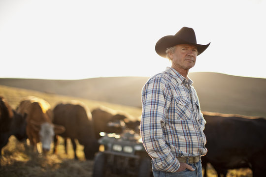 Portrait of farmer standing on a paddock with cows in the background.
