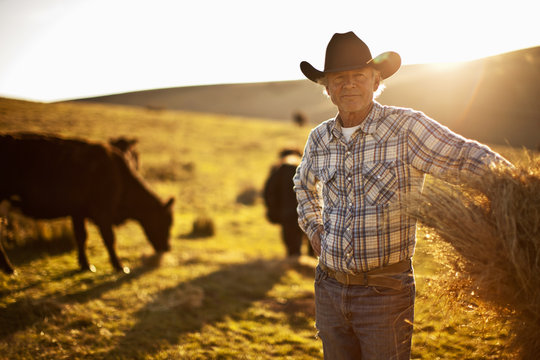 Portrait of farmer standing on a field with cows in the background.