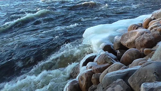 Flow of the river, landscape of the Northern water nature. Winter river flows. The harsh region of Siberia. Turbulent rapids of water.