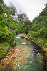 The mountain river in the gorge