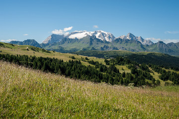 Fototapeta premium prato dolomiti