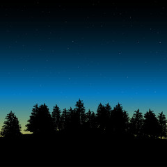 Fototapeta premium Vector Evening contour black and landscape trees