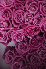 Natural background of fresh roses