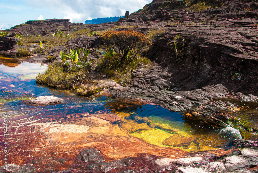 Wall mural Pond on Roraima Tepui Summit, Great Savanna National Park (Venezuela)