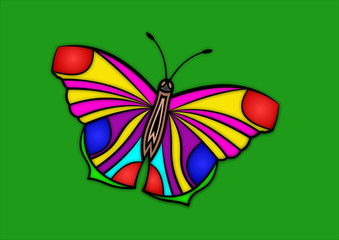 Obraz na płótnie Canvas colored butterfly