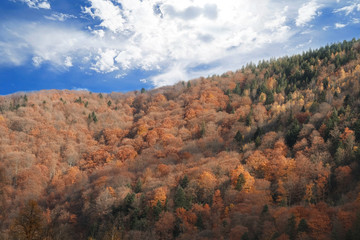 Beautiful Carpathian landscape