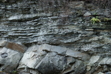 Cliff in mountainous forest