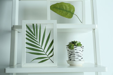 Frames with leaves and succulent on stairs on white background