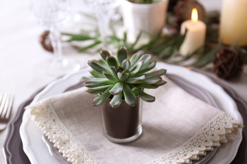 Table served with succulents for dinner in living room