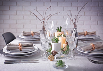 Table served with succulents for dinner in living room