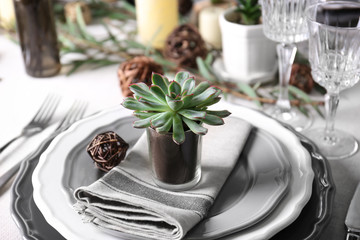 Table served with succulents for dinner in living room