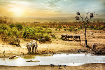 South African Safari Wildlife Fantasy Scene