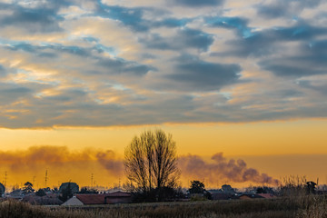 Obraz premium winter dawn on bell tower