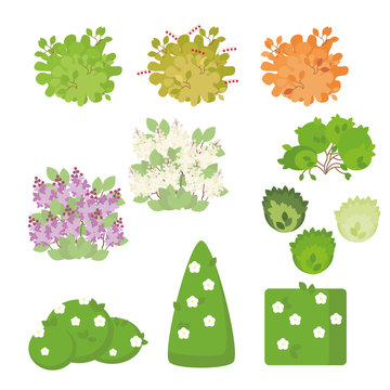 Set of outdoor plants and shrubs with flowers isolated on white background. Illustration in a flat style. Vector, EPS10.