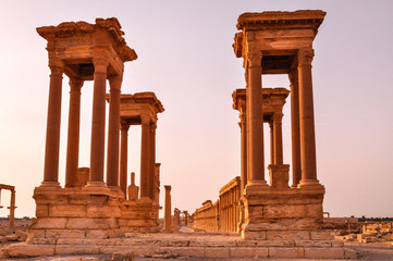 Ancient templefield of Palmyra