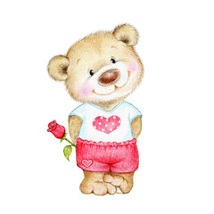 Teddy bear with rose