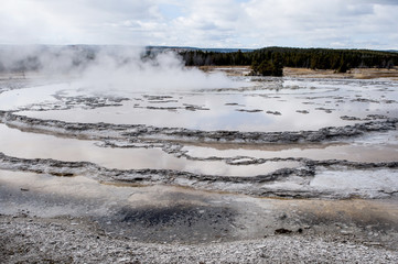 guyser with steam at yellowstone