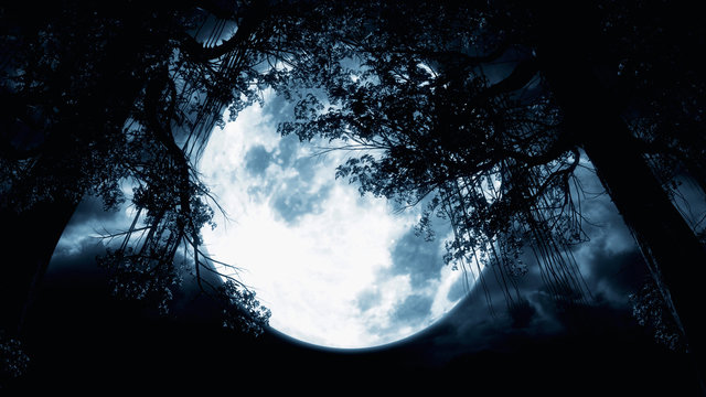Mystical Moon Night. Spooky Tree Silhouette