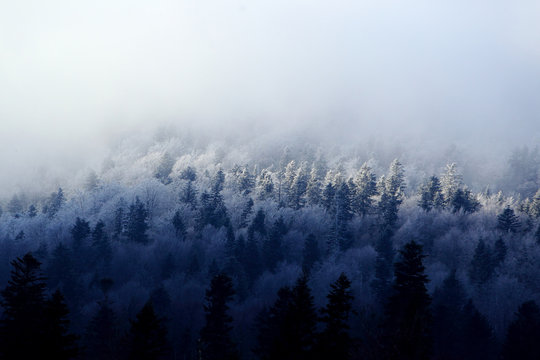 Fototapeta Bieszczady w zimie