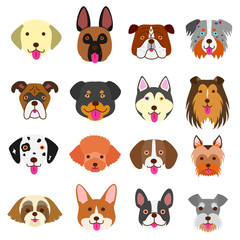 Fototapeta premium cute dogs faces set