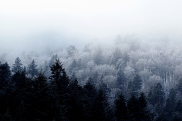 Zimowy krajobraz Bieszczadów - obrazy, fototapety, plakaty