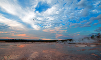 Obraz premium Grand Prismatic Spring at sunset in the Midway Geyser Basin in Yellowstone National Park in Wyoming USA