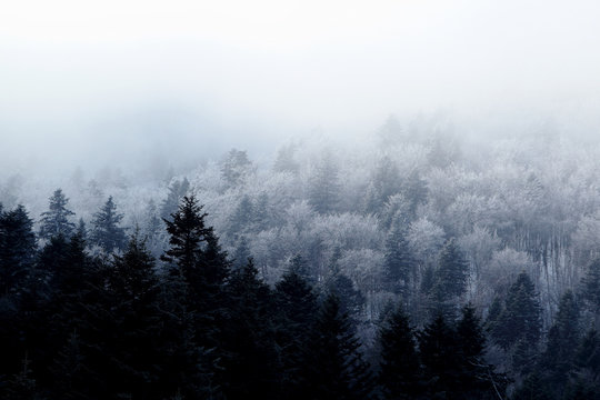 Fototapeta Zimowy krajobraz Bieszczadów