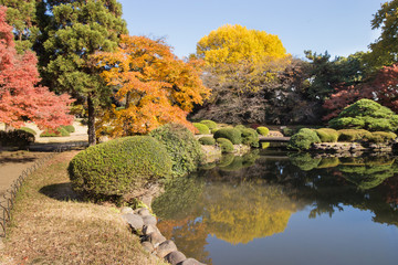 Japanese garden in autumn