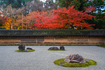 京都　龍安寺の石庭　紅葉