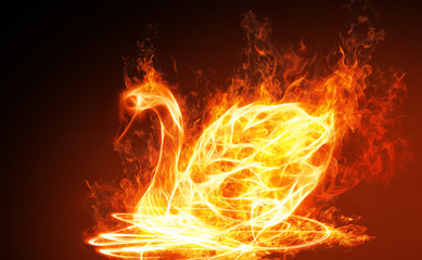 Swan Fire Abstract Background.