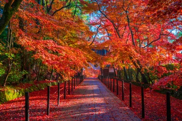 Selbstklebende Fototapete Kyoto Herbstlaub von Kyoto Komyoji