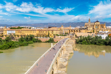 Fototapeta premium Roman Bridge in Cordoba