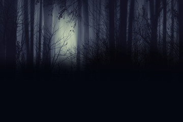 Spooky foggy forest at night 