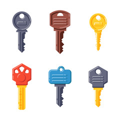 Door security key vector isolated icon.