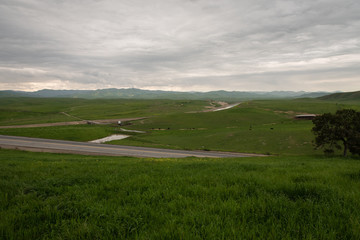 Naklejka premium San Joaquin Valley in early spring