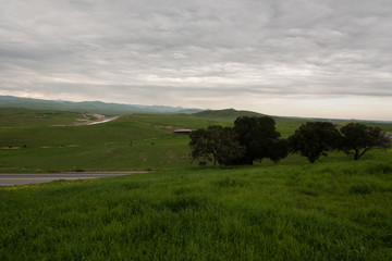 Fototapeta premium San Joaquin Valley in early spring